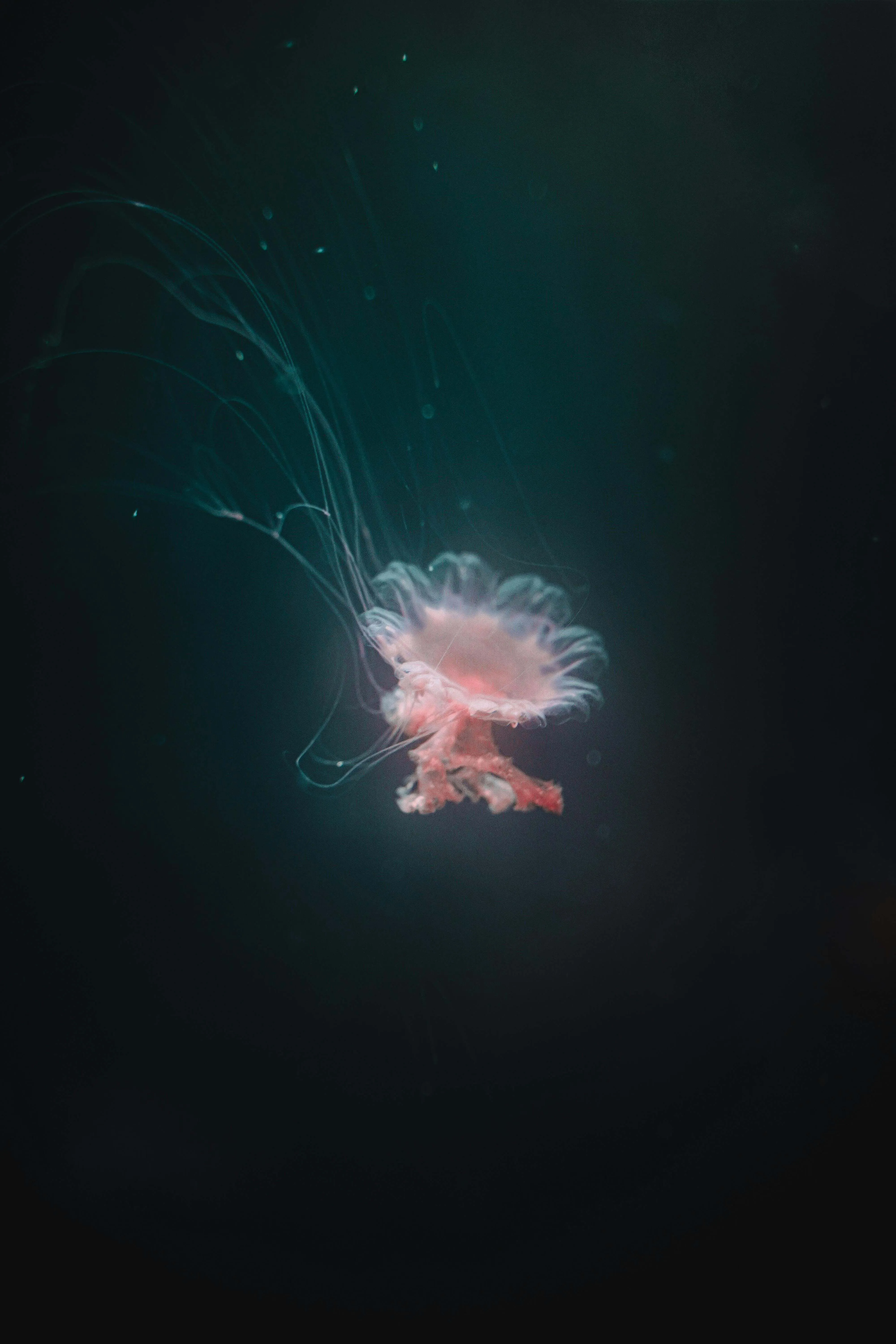 notes cover